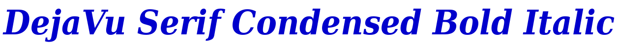 DejaVu Serif Condensed Bold Italic font